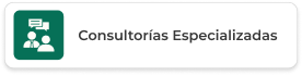 Consultorías Especializadas